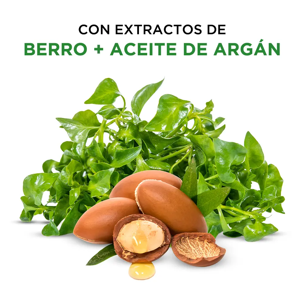 7IB - control caida.webp