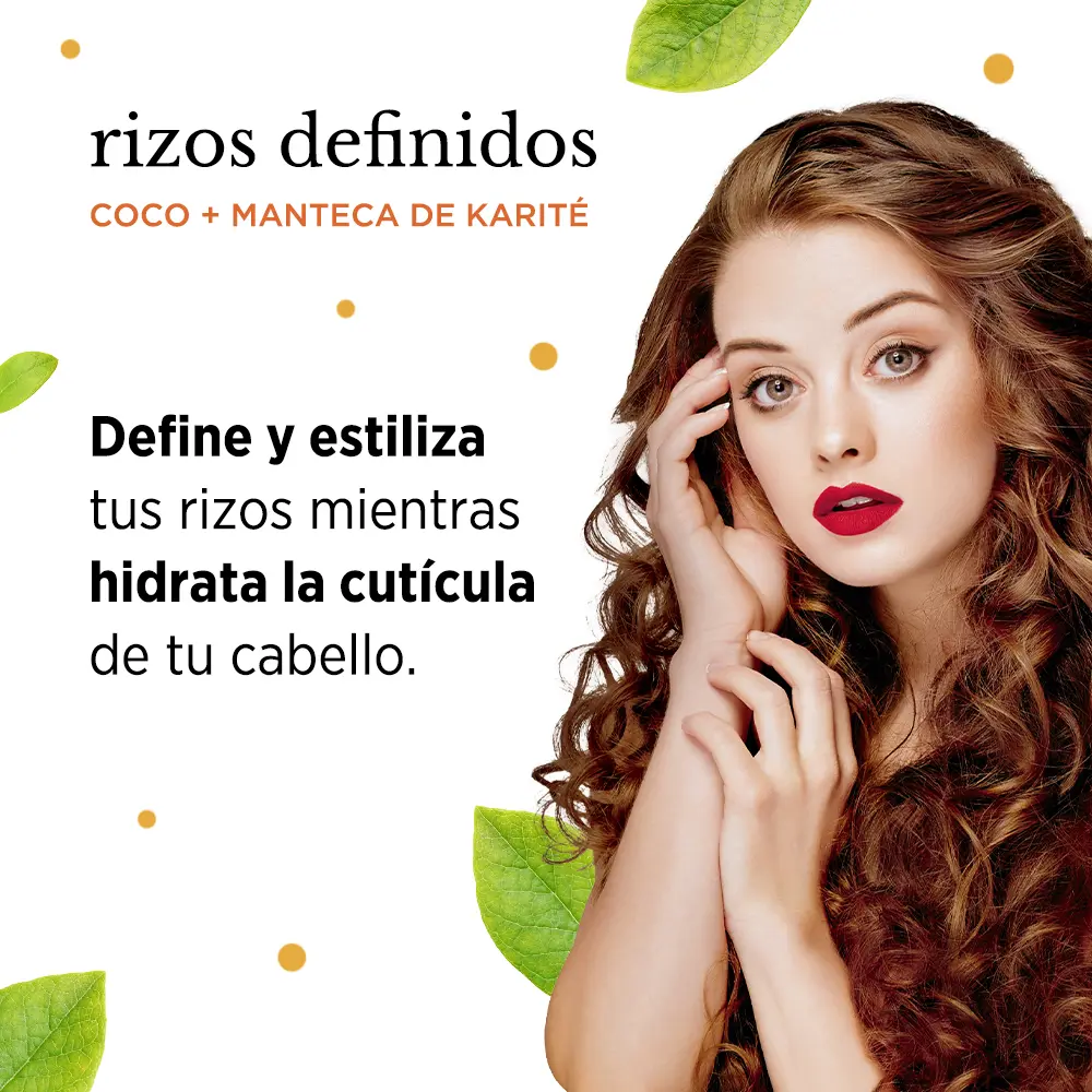2FD-RD-RizosDefinidos.webp