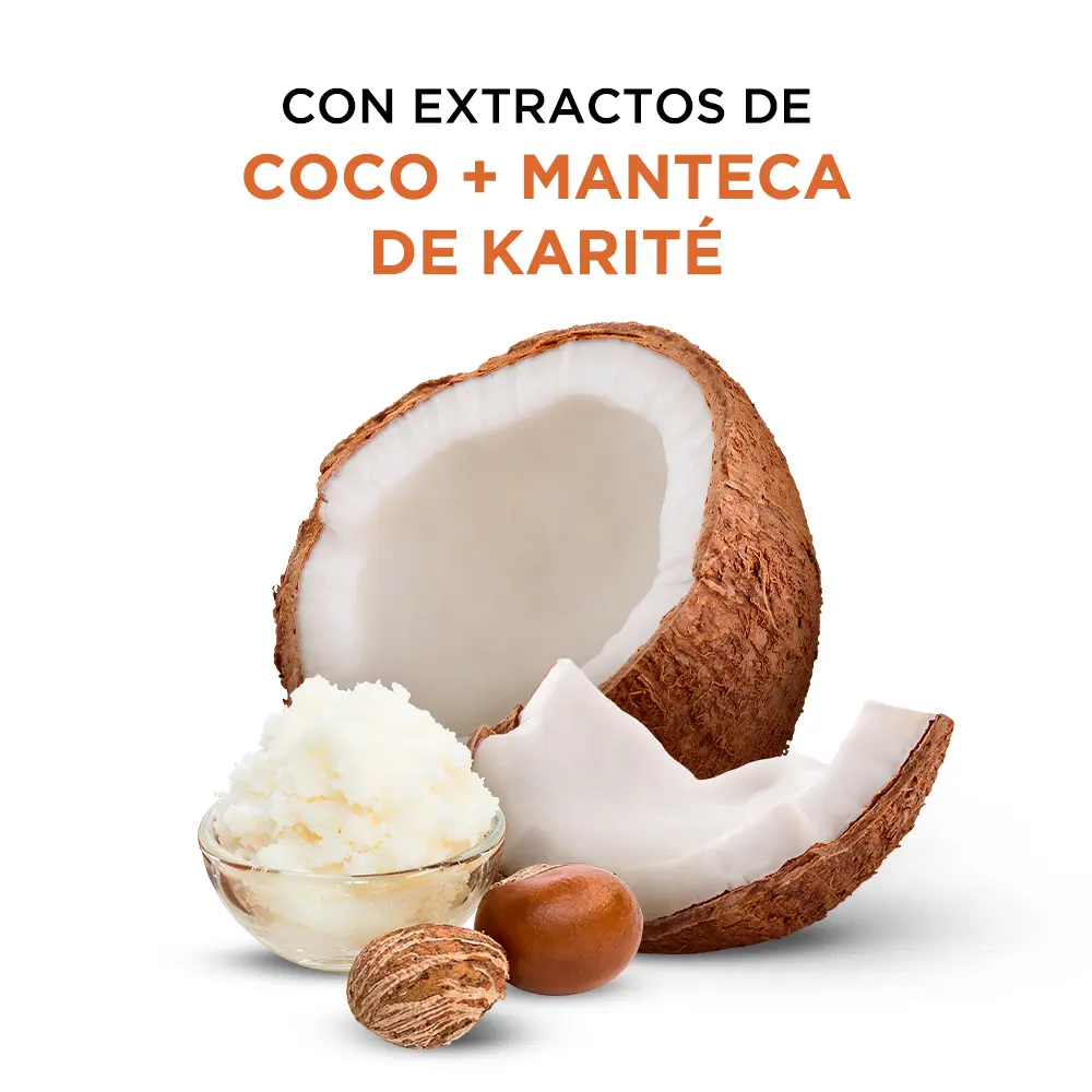 7IE-RD-RizosDefinidos.webp