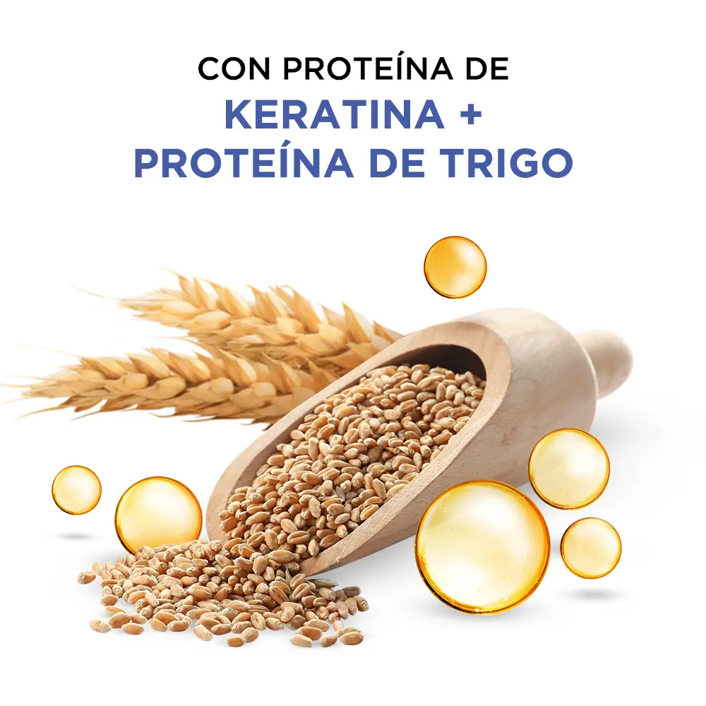 7IE-LP-LisoPerfecto - p2.webp