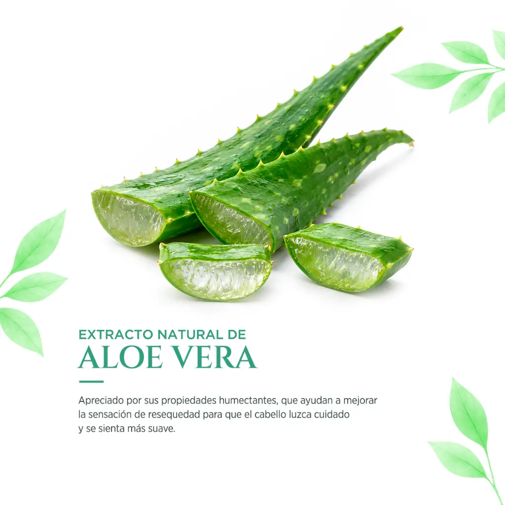4FE-Tratamiento Reparación 300 ml.webp